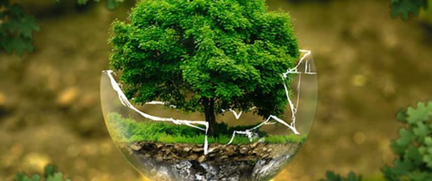 Environnement et développement durable